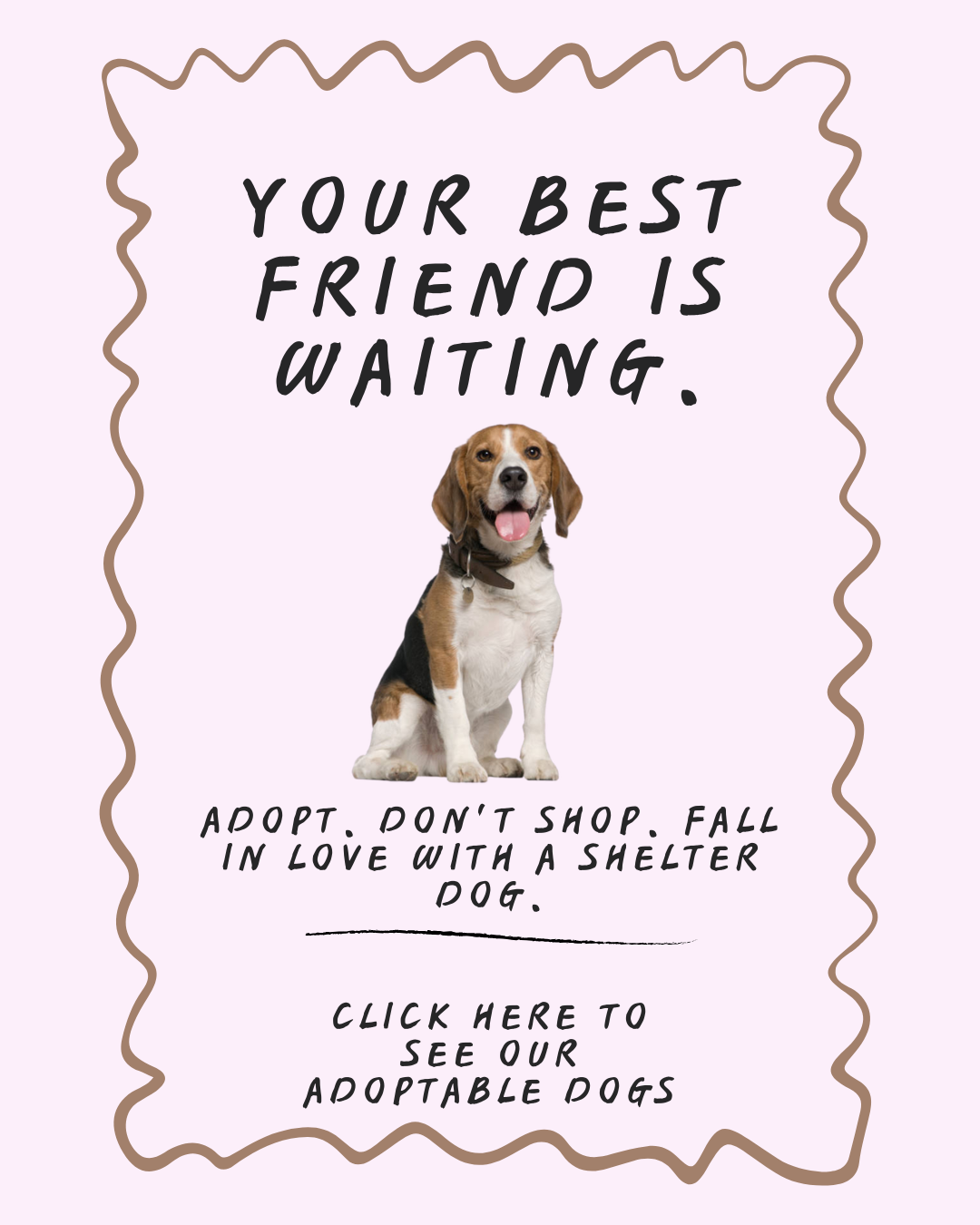 Your best friend is waiting. Adopt, don't shop. Click to see our adoptable dogs.