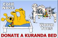 Cold nose, warm toes — donate a Kuranda bed