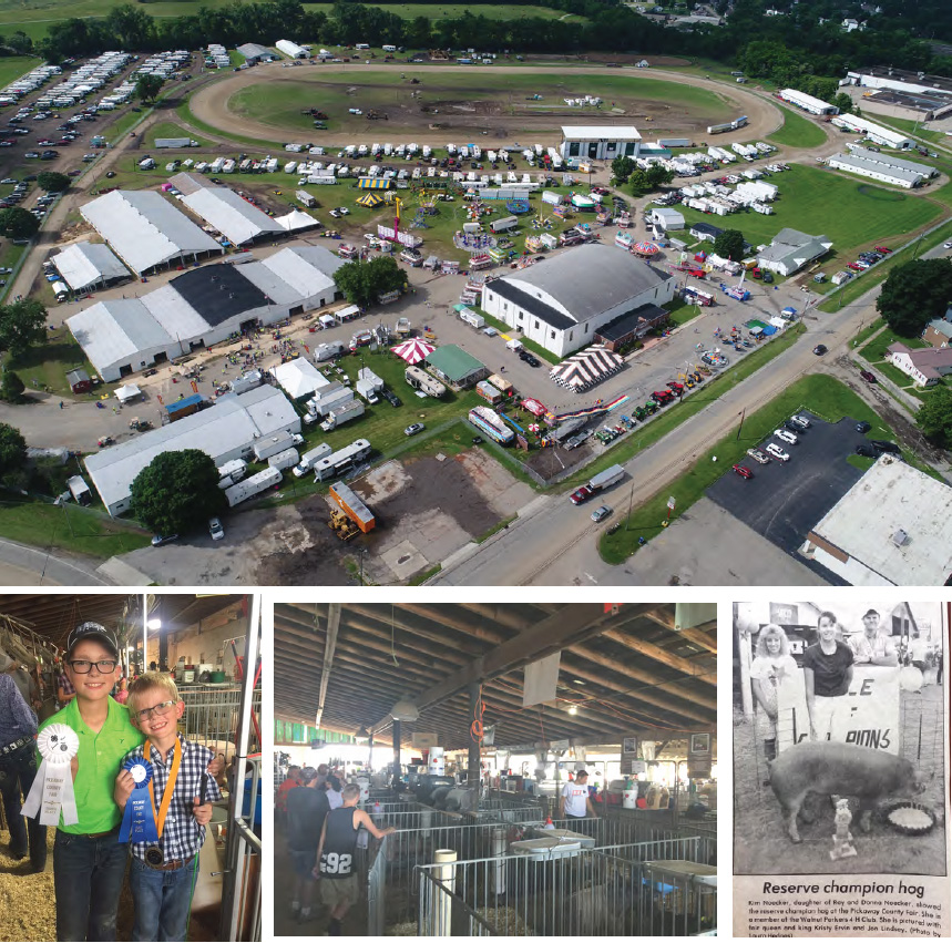 Four photographs of the Pickaway County Fairgrounds: an aerial view of the full fairgrounds during the fair, with the dirt track, exhibition barns, midway rides and rows of parked campers; two boys holding their livestock judging ribbons; the crowded livestock barn during judging; and a newspaper clipping of a reserve champion hog with its exhibitor and the fair queen and king.
