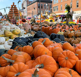Pumpkins, gourds and squash stacked at a Pumpkin Show market stand